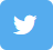 Twitter Twitter Icon